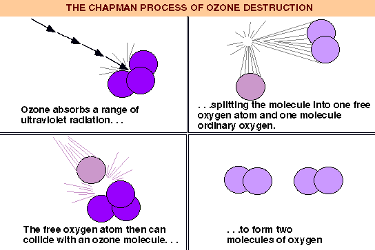 Ozone Destuction